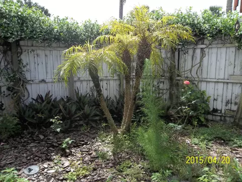 124 Ann Rustin Dr, Ormond Beach, FL 32176 photo 13