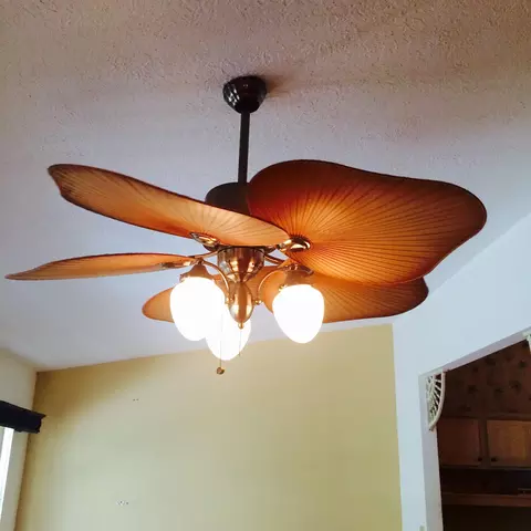 3 Fernery Trl, Ormond Beach, FL 32174 photo 14