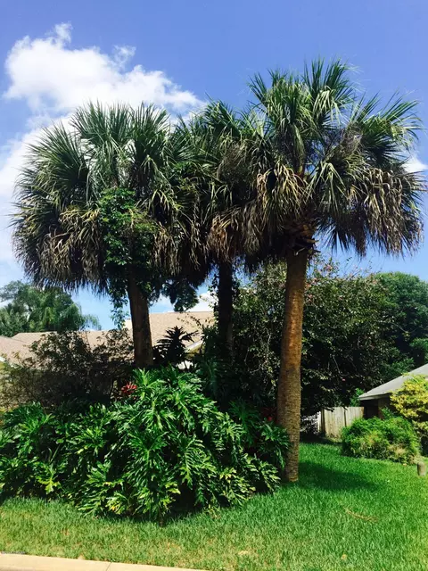 3 Fernery Trl, Ormond Beach, FL 32174 photo 35