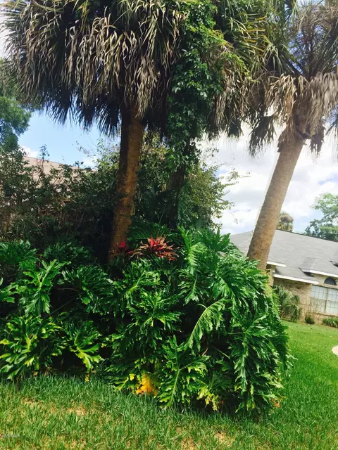 3 Fernery Trl, Ormond Beach, FL 32174 photo 34
