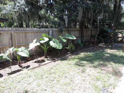 2114 Needle Palm Dr, Edgewater, FL 32141 photo 24
