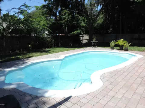 2114 Needle Palm Dr, Edgewater, FL 32141 photo 20