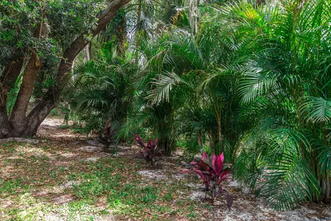 3 Minnow Dr, Ormond Beach, FL 32174 photo 60