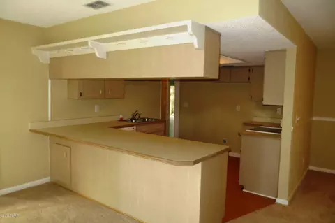 3008 Unity Tree Dr, Edgewater, FL 32141 photo 5