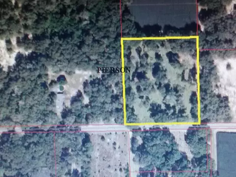 550 Minshew Rd, Pierson, FL 32180 photo 1