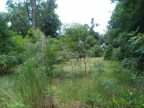 550 Minshew Rd, Pierson, FL 32180 photo 3