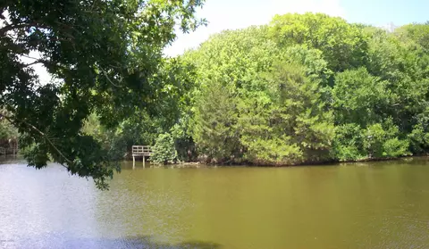 517 Lake Bridge Dr, Ormond Beach, FL 32174 photo 14