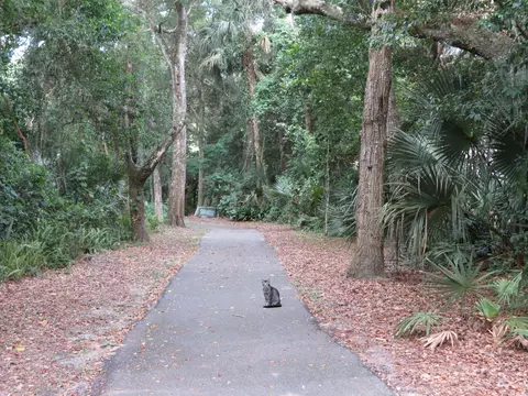 2 Tomahawk Trl, Ormond Beach, FL 32174 photo 21