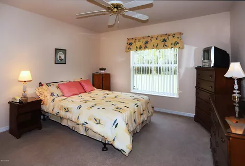 3749 Mayo Cir, Ormond Beach, FL 32174 photo 19