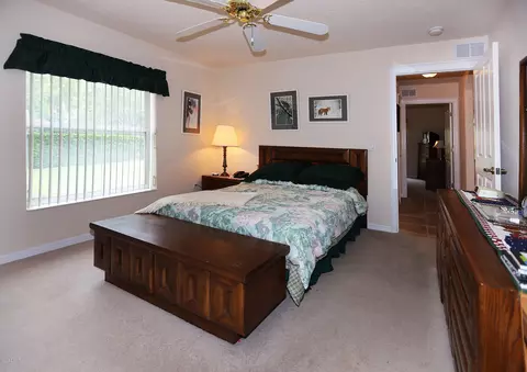 3749 Mayo Cir, Ormond Beach, FL 32174 photo 20