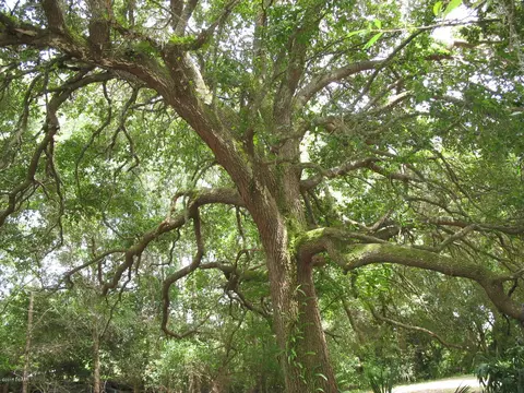 160 E County Road 2006, Bunnell, FL 32110 photo 29