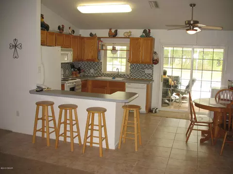160 E County Road 2006, Bunnell, FL 32110 photo 4