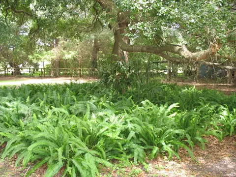 160 E County Road 2006, Bunnell, FL 32110 photo 30