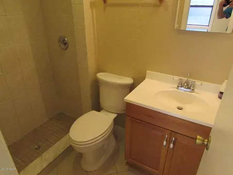 217 Cedar Ln, Flagler Beach, FL 32136 photo 6