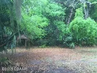 228 Pine Cone Trl, Ormond Beach, FL 32174 photo 2