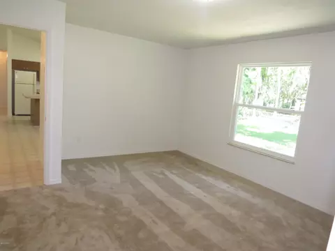 2526 Mango Tree Dr, Edgewater, FL 32141 photo 8
