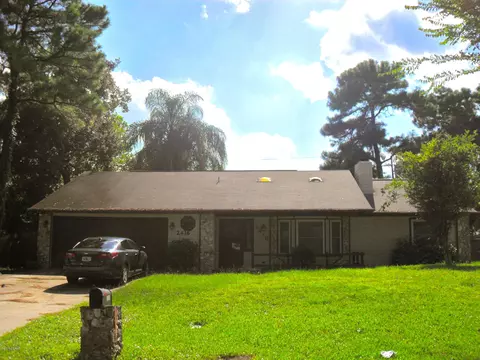 2416 Umbrella Tree Dr, Edgewater, FL 32141 photo 1