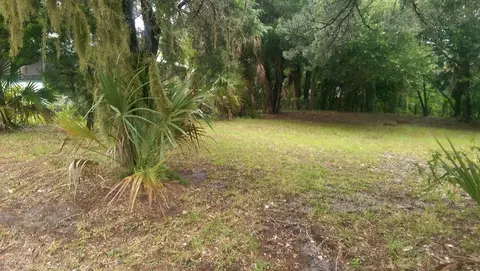 247 Tomoka Ave, Ormond Beach, FL 32174 photo 2
