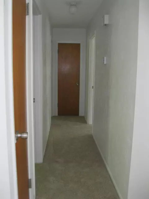 1817 Palmer Dr, Ormond Beach, FL 32174 photo 5