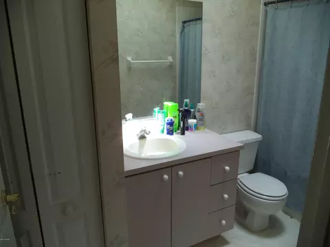 2425 Orange Tree Dr, Edgewater, FL 32141 photo 4