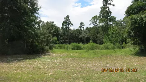 4014 Cree Dr, Ormond Beach, FL 32174 photo 1