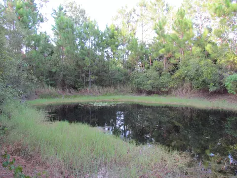 209 Cone Rd, Ormond Beach, FL 32174 photo 4