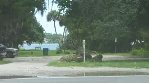 40 Melrose Ave, Ormond Beach, FL 32174 photo 29