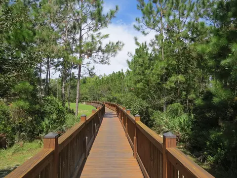 75 Levee Ln, Ormond Beach, FL 32174 photo 16