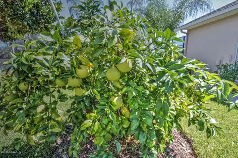 970 Stone Lake Dr, Ormond Beach, FL 32174 photo 6