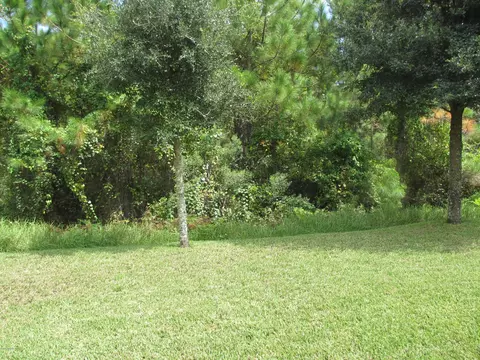 91 Levee Ln, Ormond Beach, FL 32174 photo 17