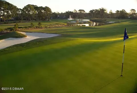 422 S Wingspan Dr, Ormond Beach, FL 32174 photo 20