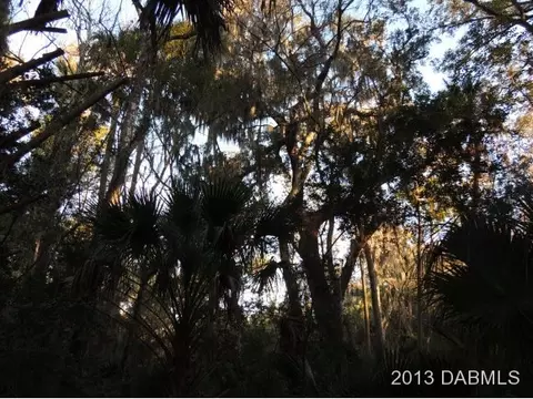 4027 Calusa Ln, Ormond Beach, FL 32174 photo 6