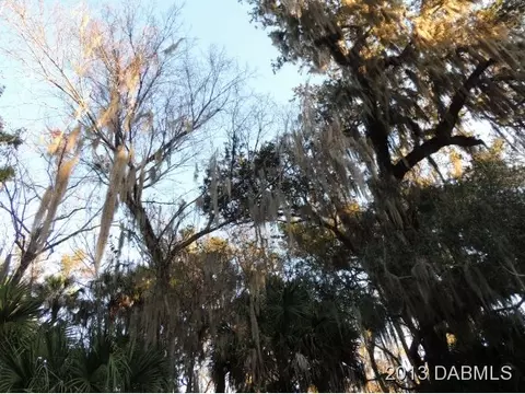 4027 Calusa Ln, Ormond Beach, FL 32174 photo 3
