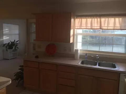 28 Rivocean Dr, Ormond Beach, FL 32176 photo 22