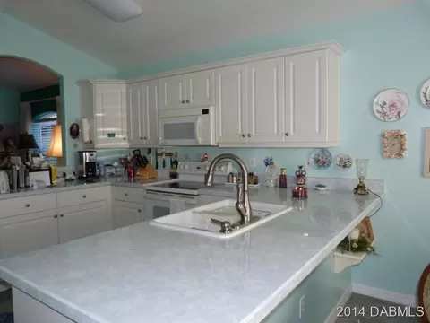 27 Wild Cat Ln, Ormond Beach, FL 32174 photo 4