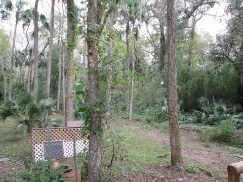 255 Tropical Ln, Ormond Beach, FL 32174 photo 4
