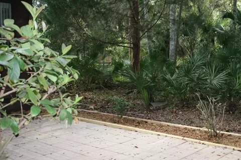 12 Mimosa Trl, Ormond Beach, FL 32174 photo 22