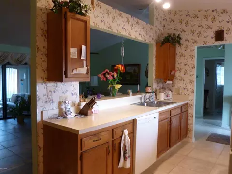 169 Pierside Dr, Ormond Beach, FL 32176 photo 7