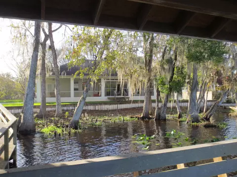 55030 Riverview Dr, Astor, FL 32102 photo 4