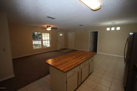 2309 Date Palm Dr, Edgewater, FL 32141 photo 4