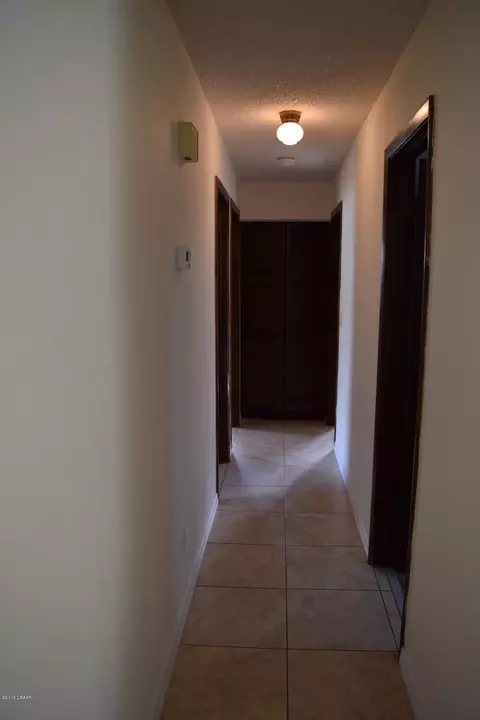 2616 Umbrella Tree Dr, Edgewater, FL 32141 photo 7