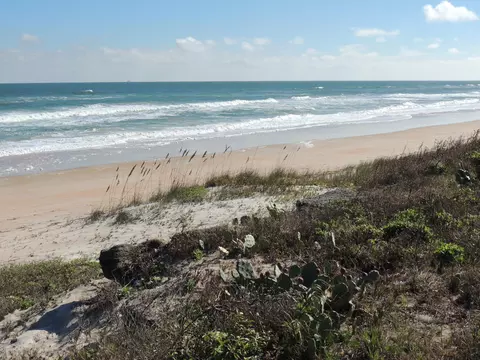 17 Surfside Dr, Ormond Beach, FL 32176 photo 21