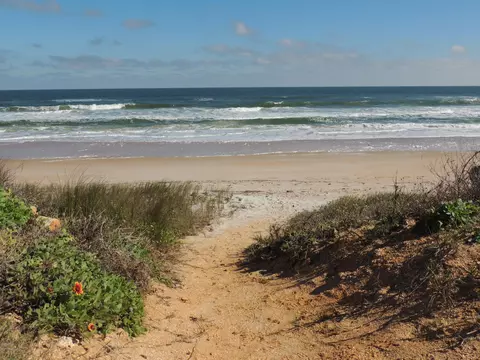 17 Surfside Dr, Ormond Beach, FL 32176 photo 20