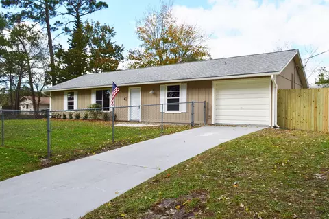 3231 Unity Tree Dr, Edgewater, FL 32141 photo 1
