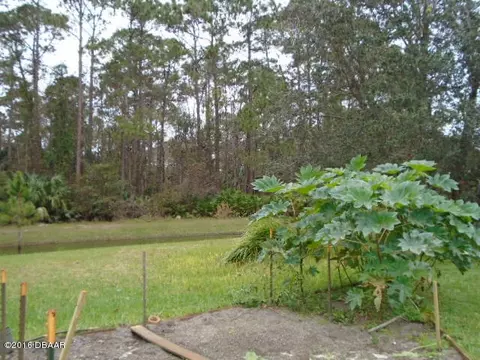 54 Caladium Dr, Ormond Beach, FL 32174 photo 6