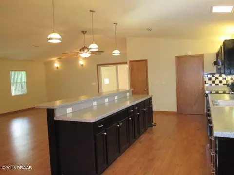 1422 Mango Tree Dr, Edgewater, FL 32132 photo 8