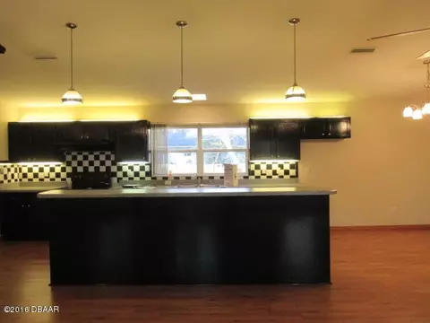 1422 Mango Tree Dr, Edgewater, FL 32132 photo 11