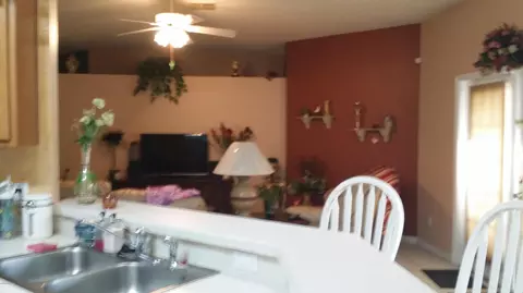 2229 Silver Palm Dr, Edgewater, FL 32141 photo 8