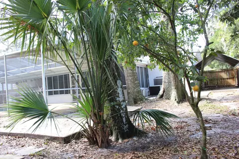 47 Pine Valley Cir, Ormond Beach, FL 32174 photo 31