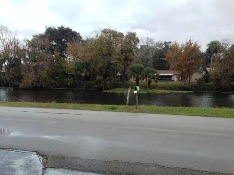2114 Mango Tree Dr, Edgewater, FL 32141 photo 3
